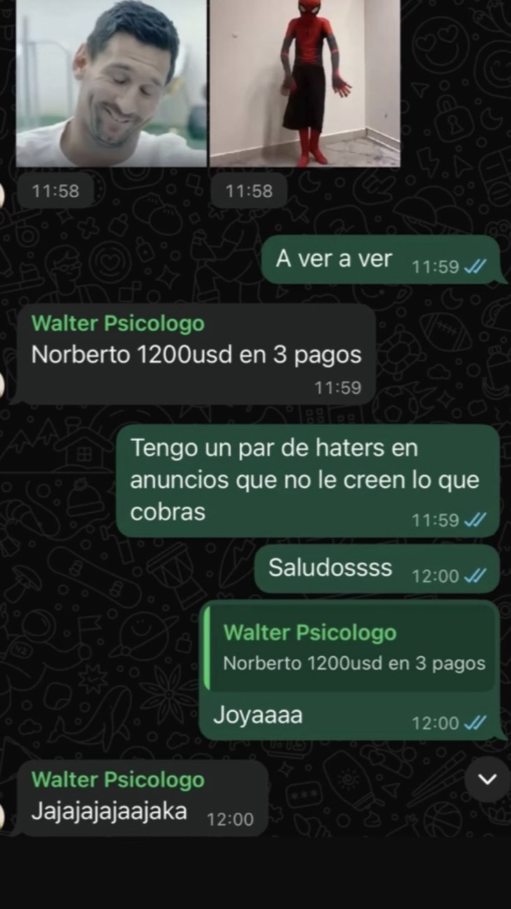 Captura de WhatsApp: Programa de USD 1.200 en 3 pagos